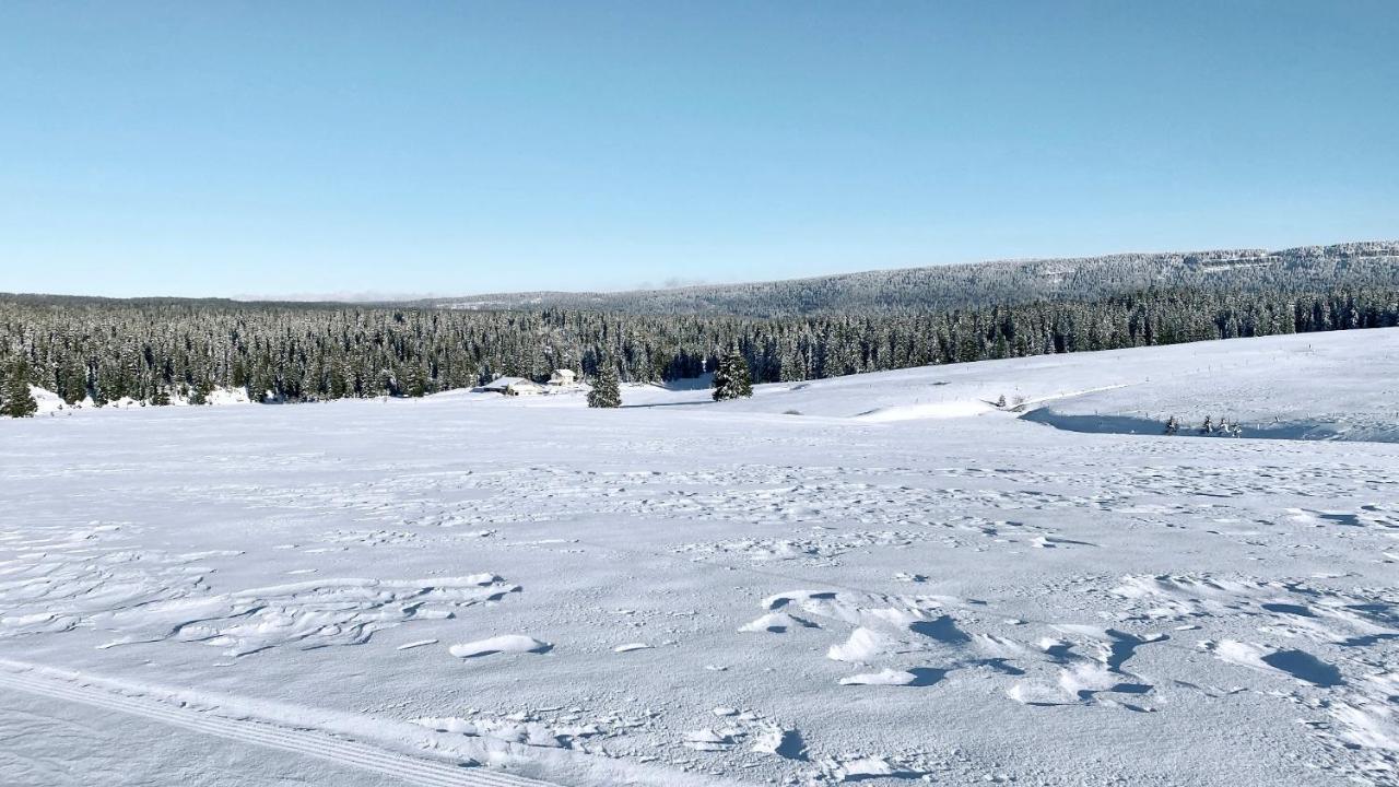 Appartement Ideal Pour Ete Et Hiver, Situe Au Pied Des Pistes De Ski Et Des Sentiers De Randonnee Premanon Luaran gambar